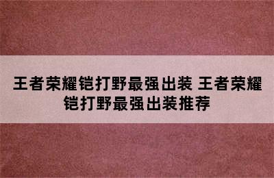 王者荣耀铠打野最强出装 王者荣耀铠打野最强出装推荐